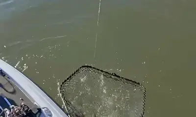 Exceeded expectations