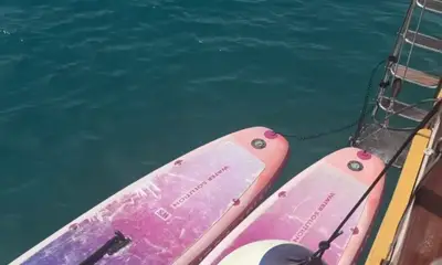 Amazing day on the water! Highly recommend.
