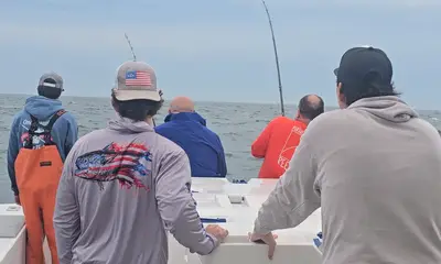 Narragansett Report Video 0