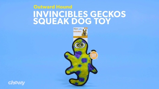 Outward Hound Invincibles Gecko Red/Orange Squeaky Dog Toy - Granite Bay,  CA - Douglas Feed and Pet Supply Pickup