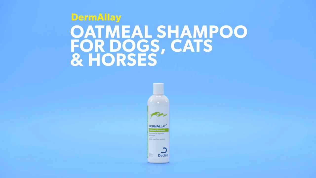 DERMALLAY Oatmeal Shampoo for & Horses, 12-oz bottle