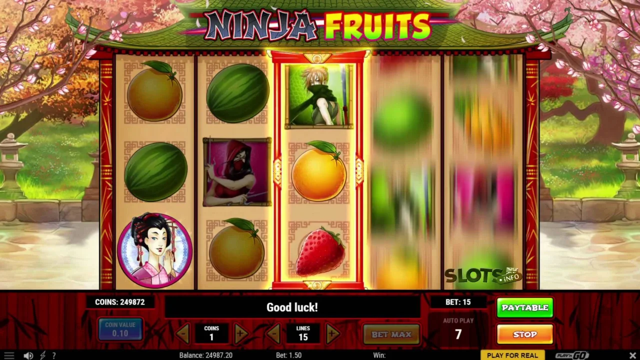 Ninja Fruits Slot by Play N Go Free Demo Play