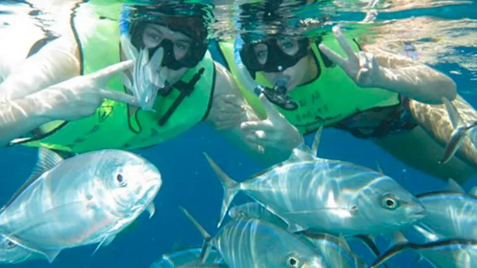 Playa del Carmen Snorkeling Tours: Book Today from $59