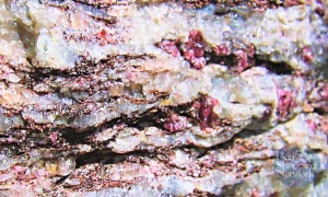 Garnet