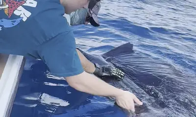 Quepos Report Video 1