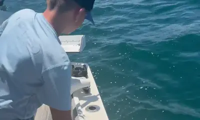 Big Fish