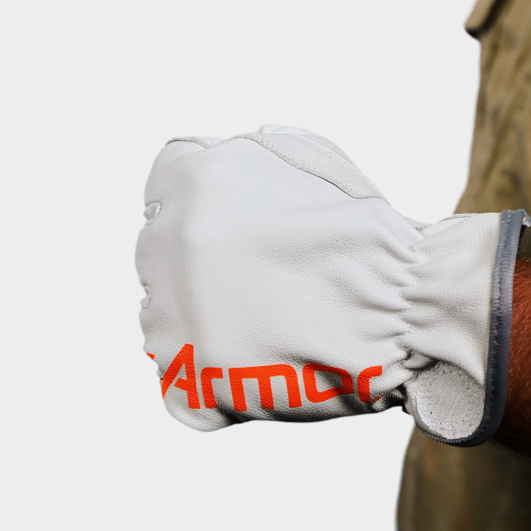 6830adc3fac9c700ddd118f5d43514