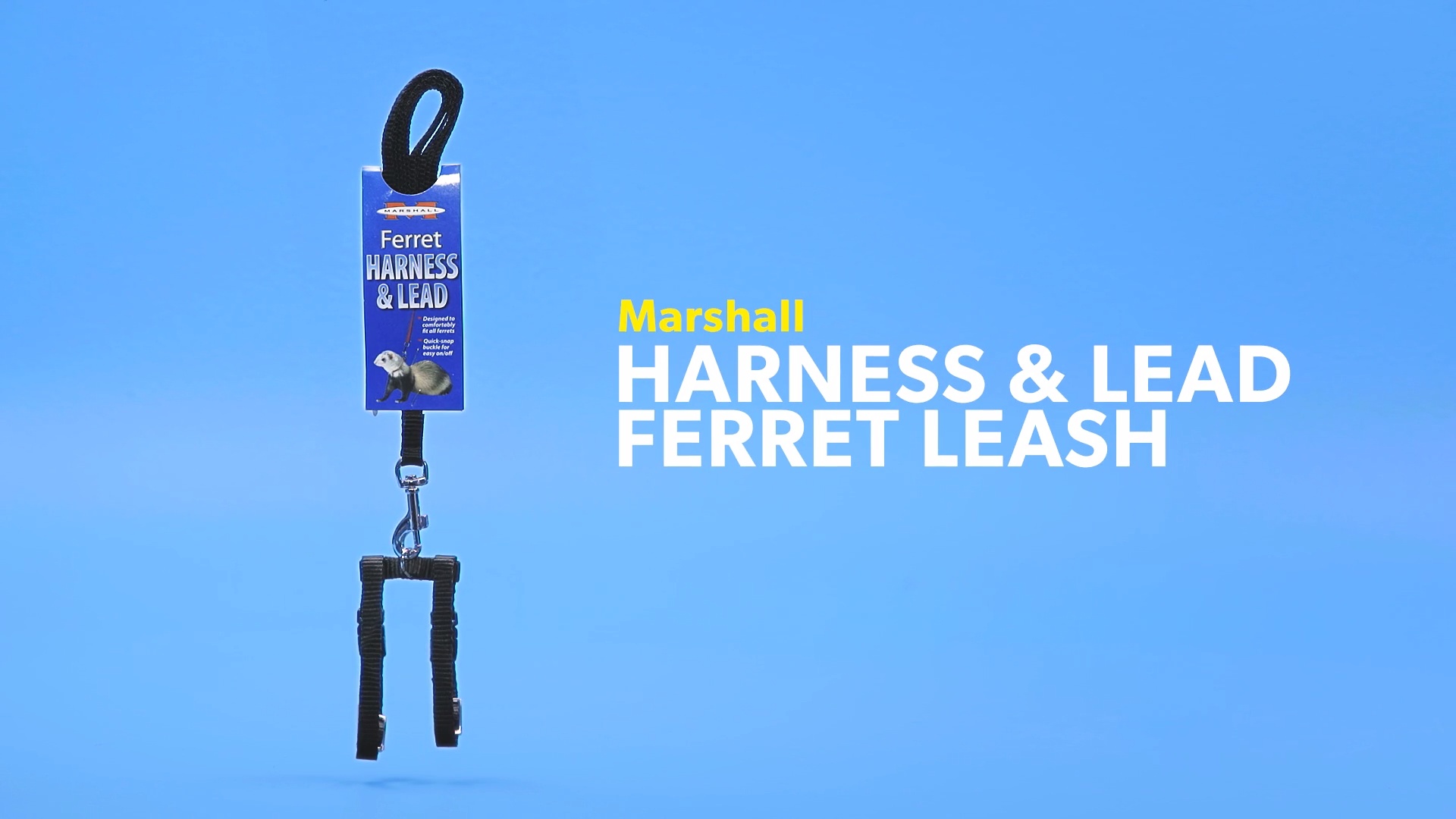 MARSHALL Harness Lead Ferret Leash Black Chewy