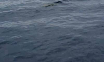 Panama City Report Video 2