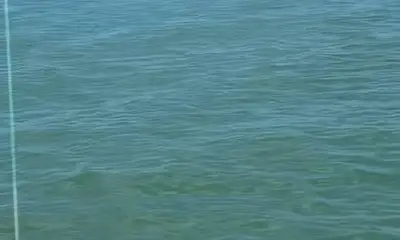 Bonita Springs Bericht Video 0