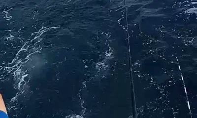 Wanchese Report Video 1