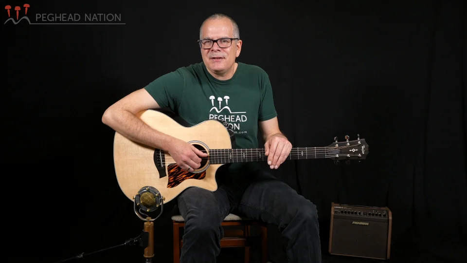 Taylor Next Generation 414ce - Peghead Nation