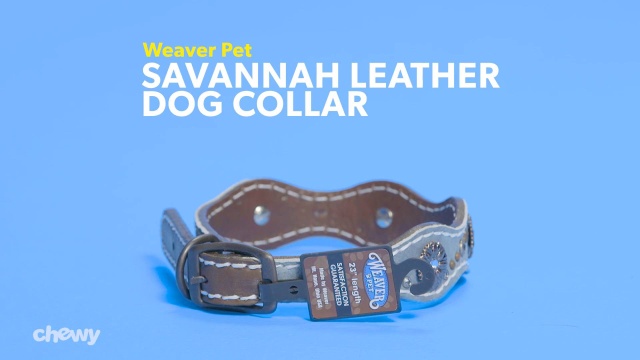 Weaver Leather Savannah Dog Collar 