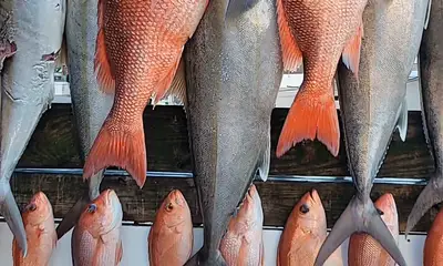 Okaloosa County Report Video 2