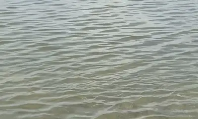 Key Largo Report Video 1