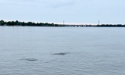 Brick Township Report Video 0