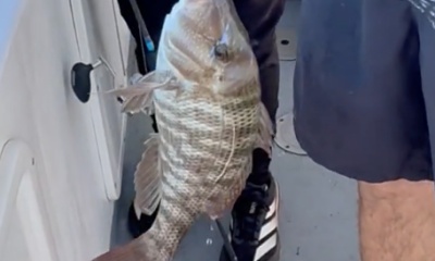 Remind anglers no Bananas on board 