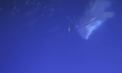 Great Night Shark fishing