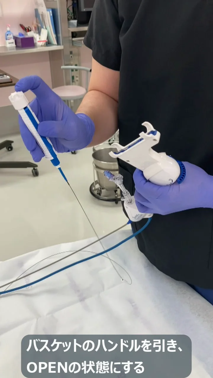 LithoVue™ のご紹介 LithoVue™ のご紹介