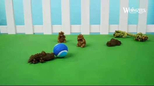 Play Video: Learn More About WHIMZEES From Our Team of Experts