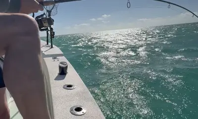 Miami Report Video 1