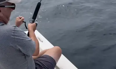 Jacksonville Report Video 0