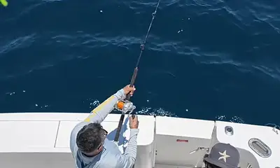 La Paz Видео отчет 0