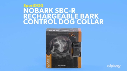 SportDOG Bark Collar-SD-SBC-R