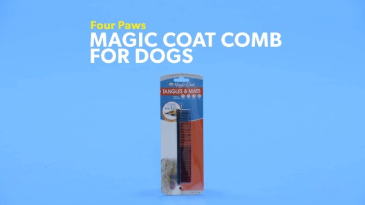 Play Video: Learn More About Four Paws From Our Team of Experts