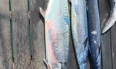 bucket list fish caught