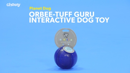 Planet Dog Orbee-Tuff Snoop Interactive Treat Dispensing Dog Toy, Large,  Blue