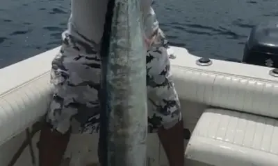Cartagena Report Video 0