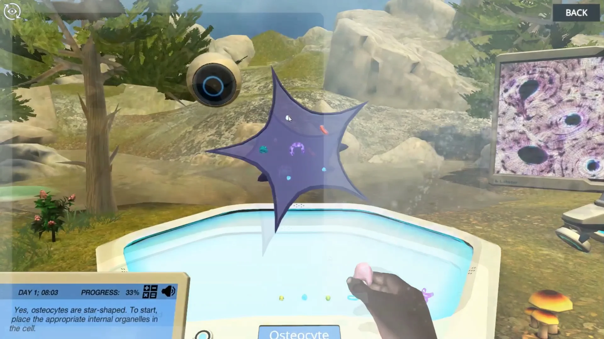 Building Animal Cells | Labster Virtual Labs Building Animal Cells | Labster Virtual Labs