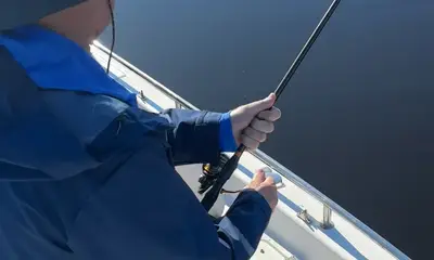 Clewiston Report Video 2