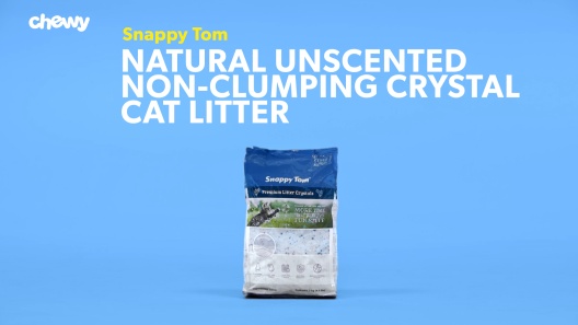 Play Video: Learn More About Snappy Tom From Our Team of Experts