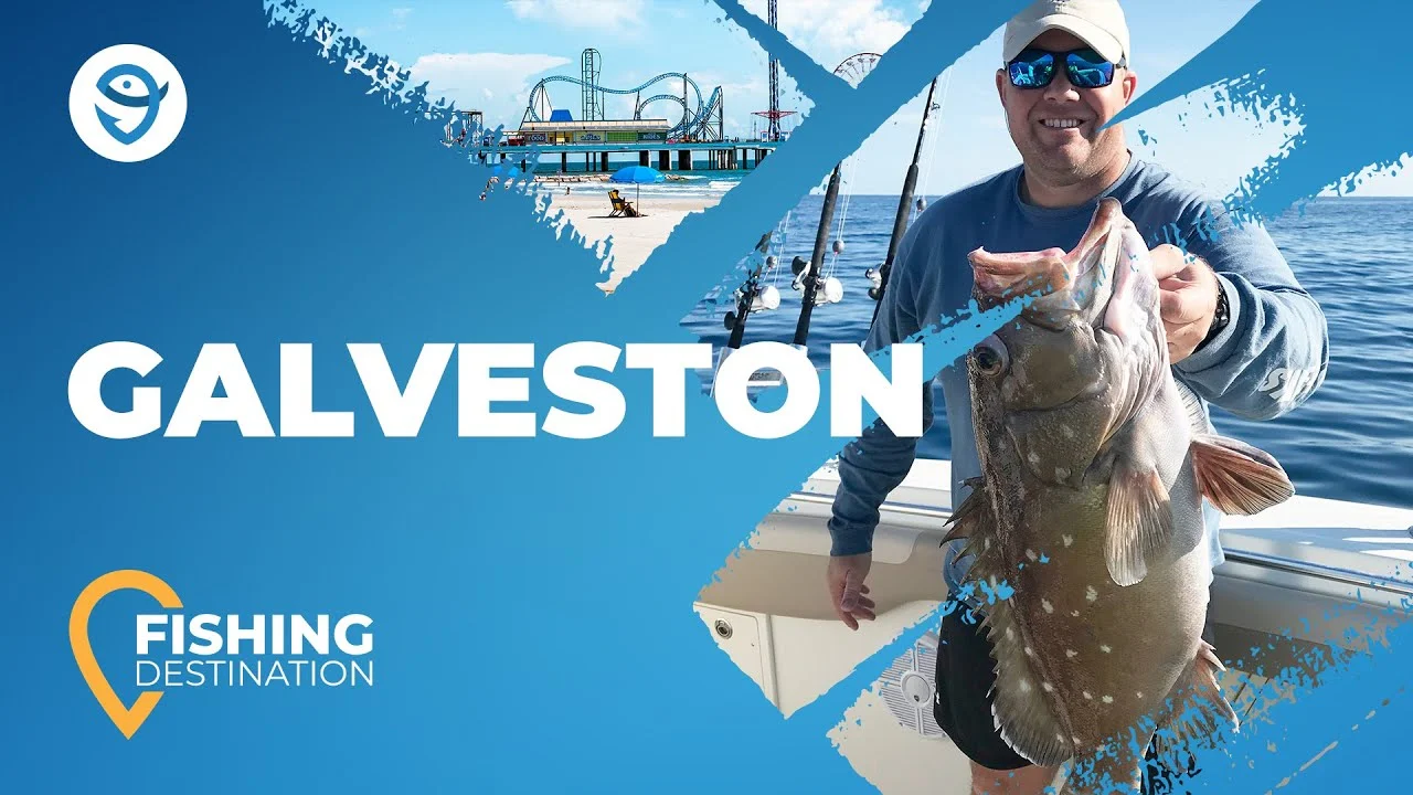 Fishing in GALVESTON BAY: The Complete Guide