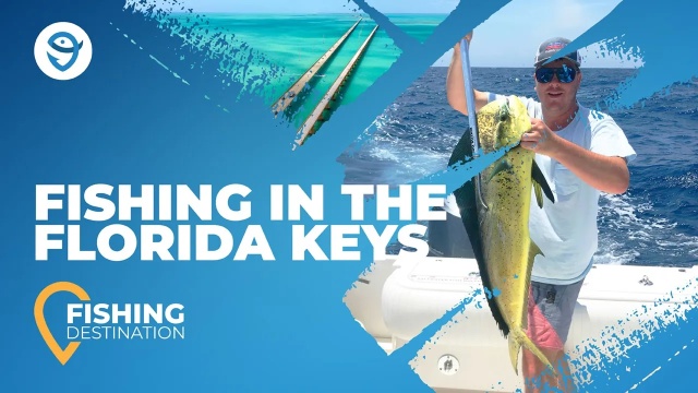 Summer Time Fishing In The Florida Keys Area of Marathon