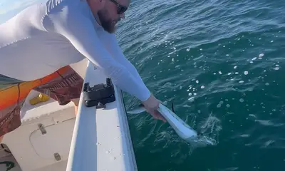 Herradura Report Video 0