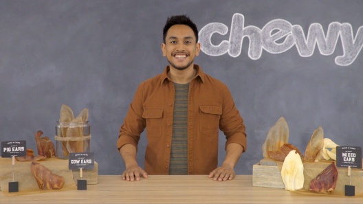 Play Video: Learn More About Bones & Chews From Our Team of Experts
