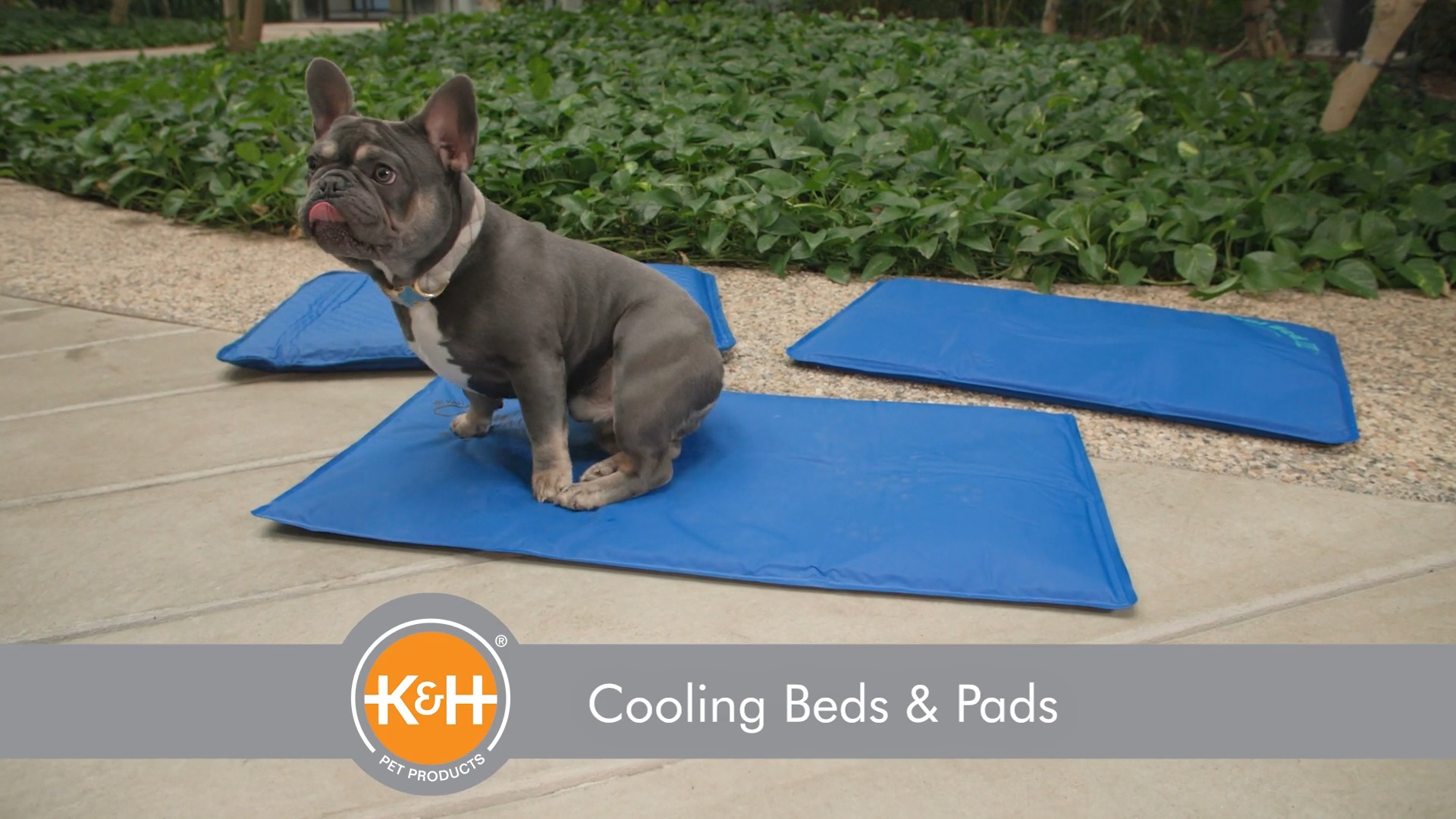 K&h clearance cooling bed