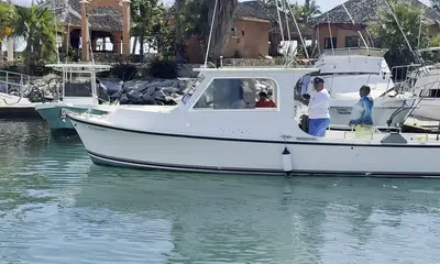 Los Cabos Report Video 2