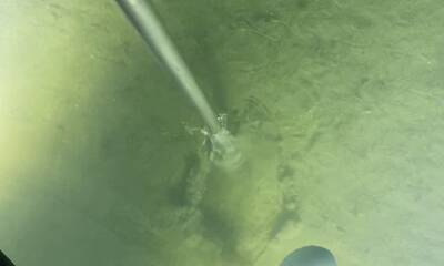 Sebastian Inlet Report Video 0