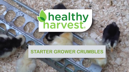 Play Video: Learn More About Healthy Harvest From Our Team of Experts