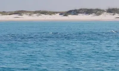 Okaloosa Island Report Video 0