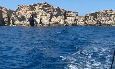 Amazing day out