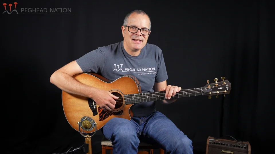 Taylor 312ce LTD 50th Anniversary - Peghead Nation