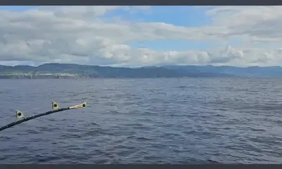 Ponta Delgada Report Video 1