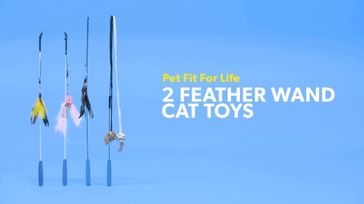 Cat Toys Feathers Wand, Interactive Cat Toy Kitten Toys Retractable Cat  Wand Toy Suction Cup Cat Wand Toys And Detachable Feather Teaser Refills  With Bells, Cat Fishing Pole Toy For Indoor Bored