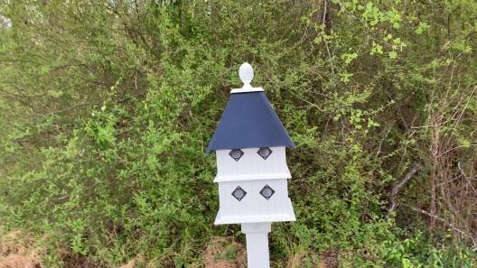 Play Video: Learn More About Paradise Birdhouses From Our Team of Experts