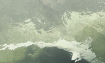 Key Biscayne Report Video 1